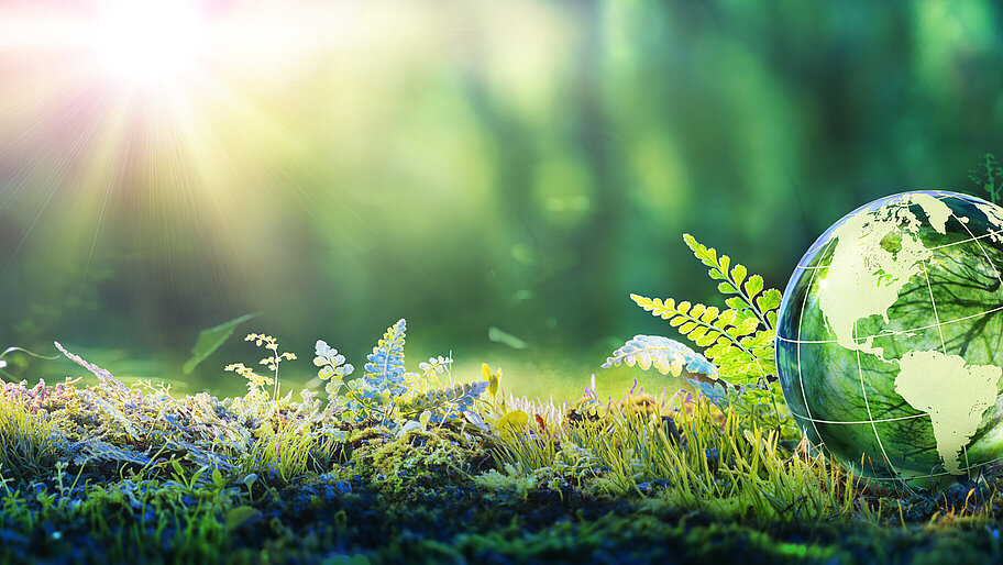Globusglas im grünen Wald mit Sonnenlicht
