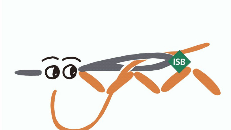 Auf dem Bild ist eine stilisierte Darstellung einer Nähnadel zu sehen, die durch einen Stoff sticht. 