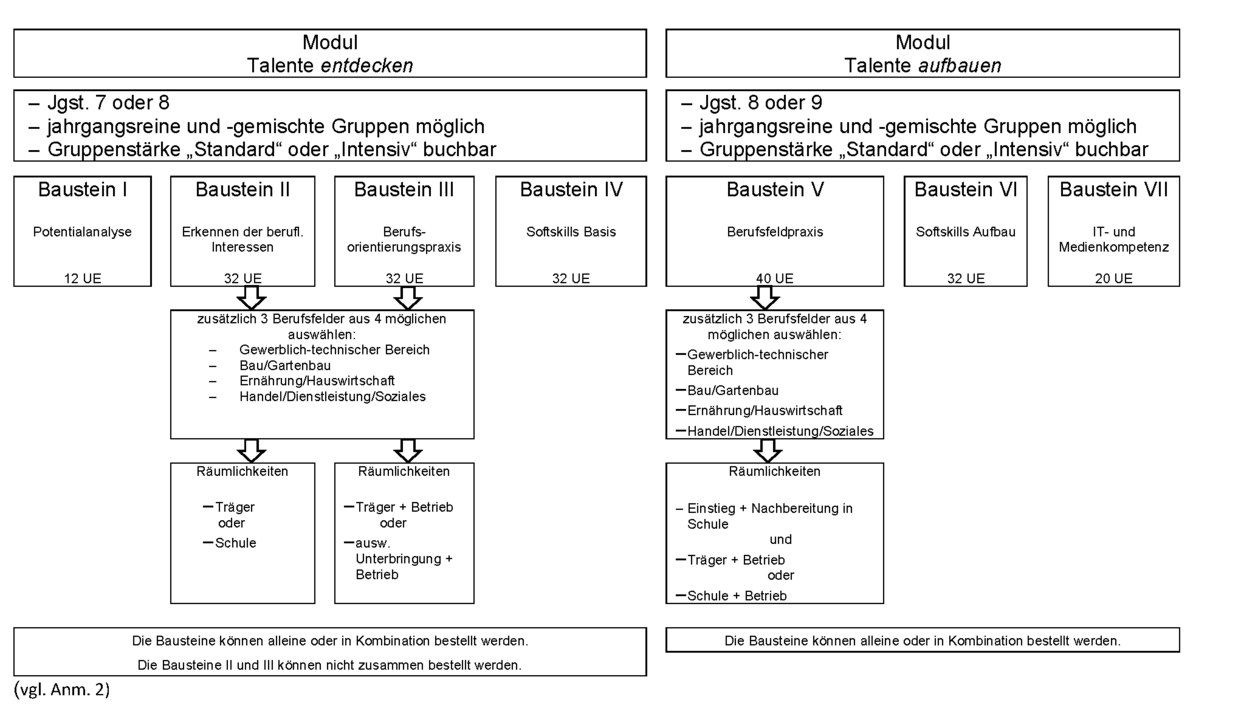 Berufsorientierungsmaßnahmen (BOM)