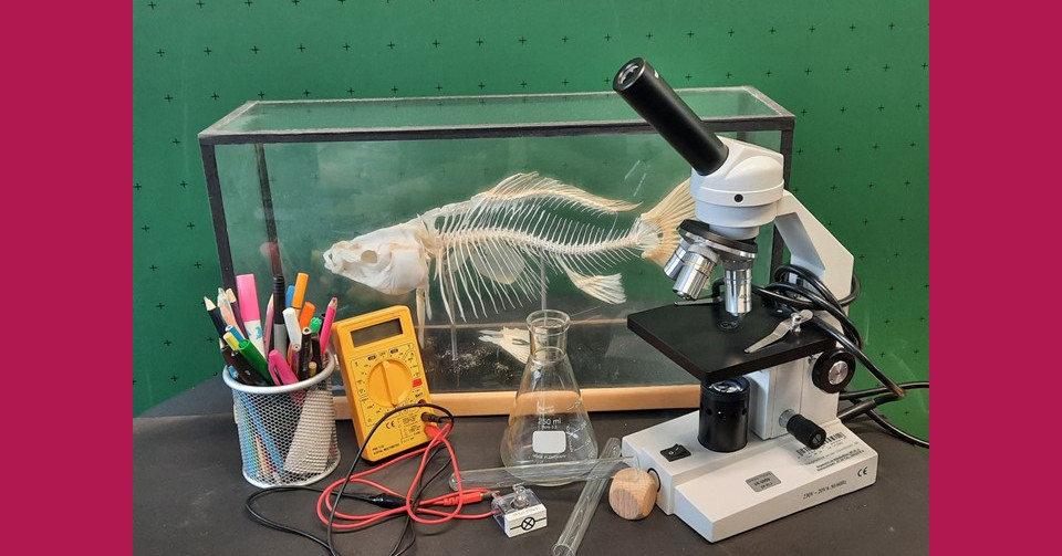 Natur und Technik an der Mittelschule Fächer in der Mittelschule