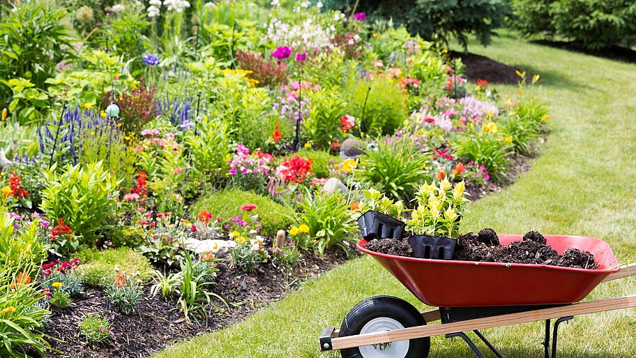 Schubkarre gefüllt mit Erde und Setzlingen steht auf einer Wiese vor einem Blumenbeet