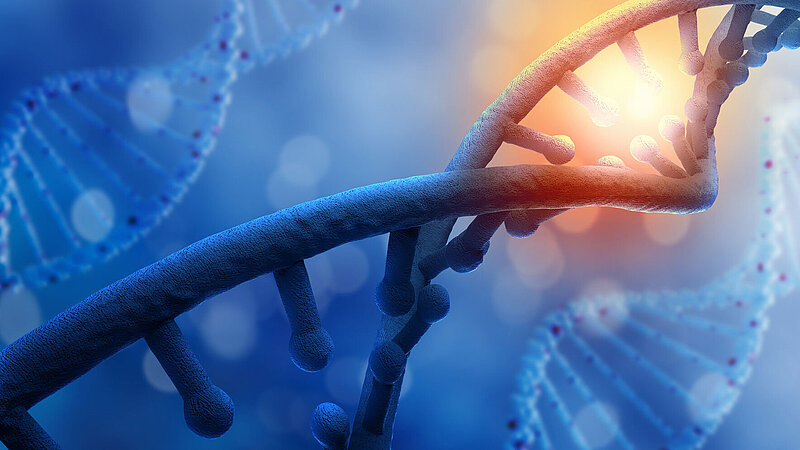 Symbolbild DNA-Strang