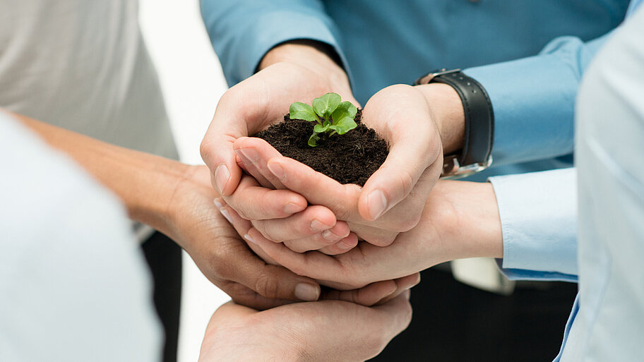 Menschen halten gemeinsam Erde mit Pflanze in Händen