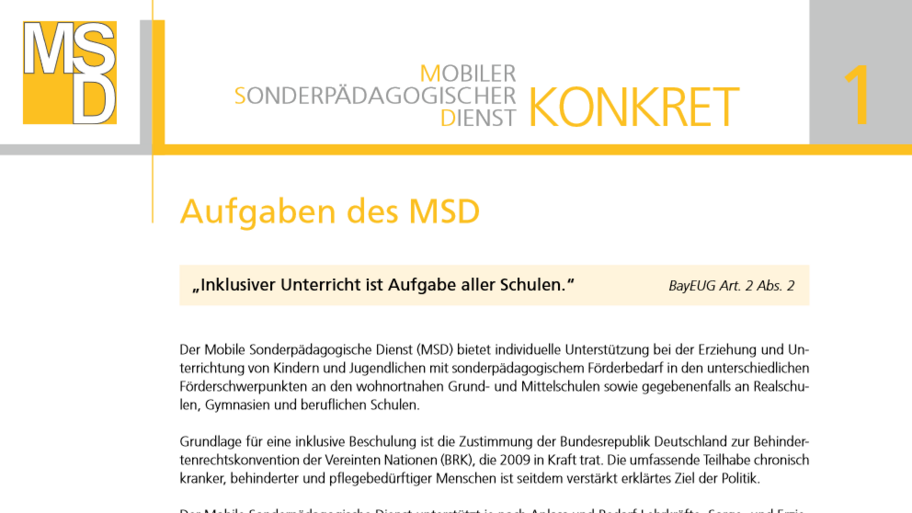 Ausschnitt aus Flyer MSDkonkret 1